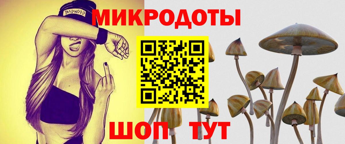 Галлюциногенные грибы Psilocybine cubensis Искитим