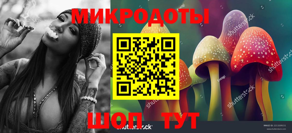 Искитим  Галлюциногенные грибы Cubensis  Вход с VPN 